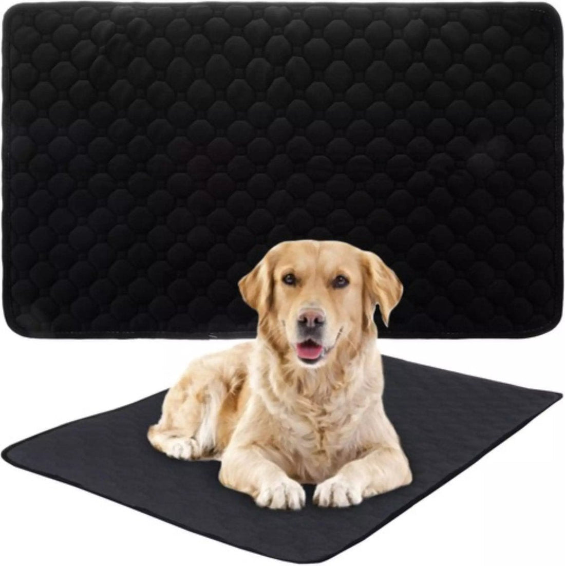 Tapis hygiénique réutilisable Purlov 70 x 50 cm : confort pour votre animal de compagnie