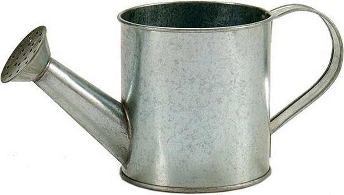 Ibergarden zinken gieter als bloempot – zilvergrijs, 750 ml, 24,5 x 11 cm