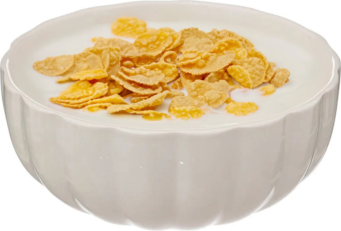 Secret de Gourmet Bols à soupe/ramequins de service - Delphi - porcelaine - D15 x H7 cm - blanc ivoire - Empilables