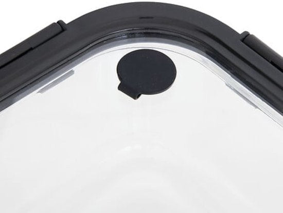 Glazen vershoudbakjes met deksel, set van 2 – 750 ml, borosilicaatglas – foto 6