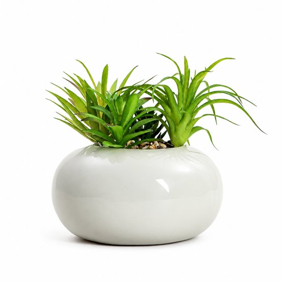 HOMLA - Artificial Plant - Succulent in Pot - 19 cm