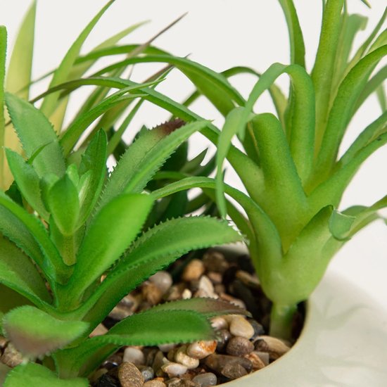 HOMLA - Artificial Plant - Succulent in Pot - 19 cm