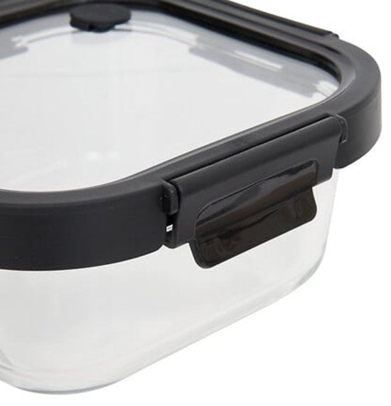 Glazen vershoudbakjes met deksel, set van 2 – 750 ml, borosilicaatglas – foto 2