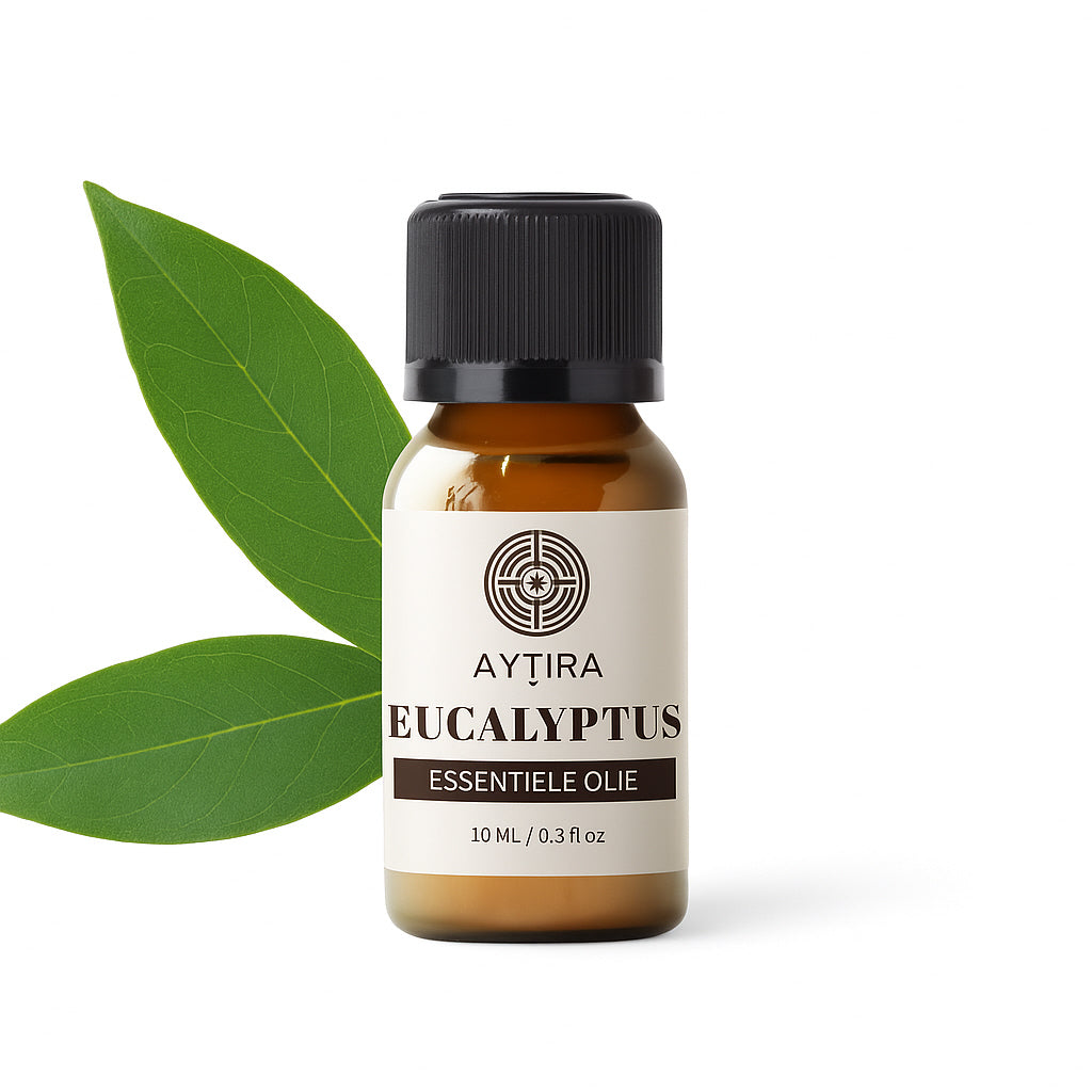 Aytira eucalyptus essentiële olie – 100% puur, 10 ml met druppeldop