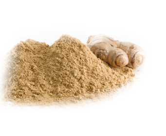 Gember gemalen 150 gram – specerij met een frisse, scherpe smaak