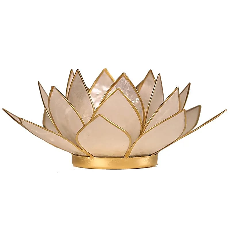Photophore Lotus nacré à bord doré