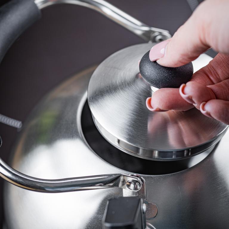 KingHoff RVS Fluitketel 2, 5L – Geschikt voor Alle Warmtebronnen, Met Fluitsignaal en Ergonomisch Handvat